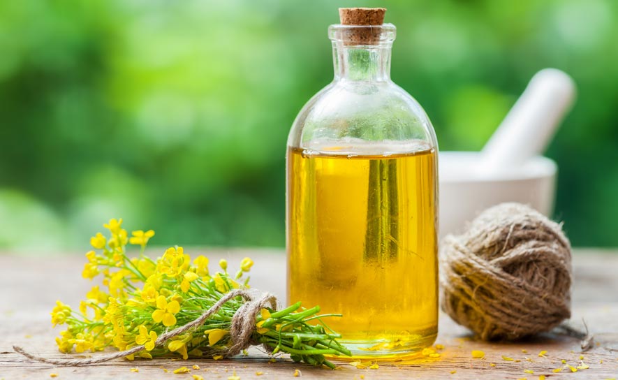 Canola Oil