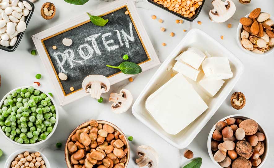 High Protein Foods