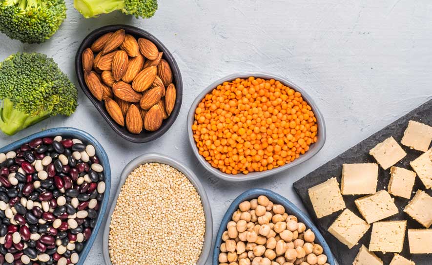 Plant-Based Protein