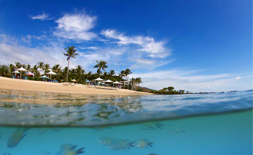 Tropical Island