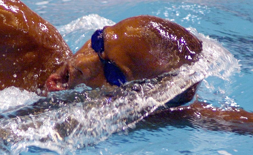 Black History Month: Sabir Muhammad Honors His African-American Swim Roots