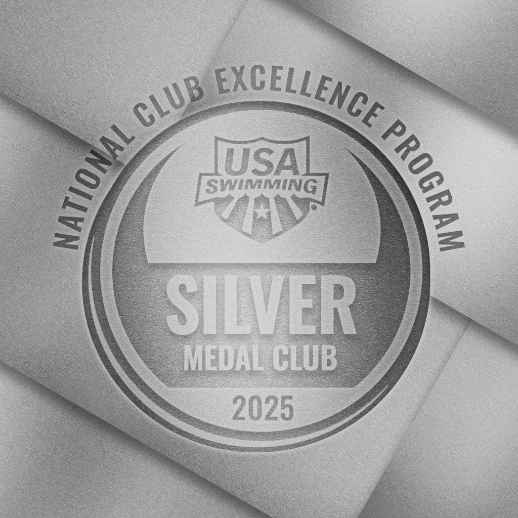 Club Excellence 1080x1080 Silver